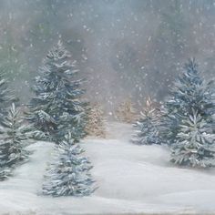 a painting of snow covered trees in the woods