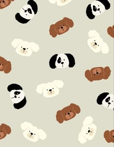 an animal themed wallpaper with dogs and pandas on it's back ground