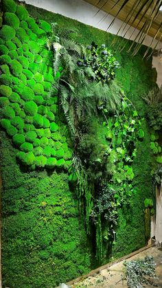 a large green wall with plants growing on it's sides and an animal head in the middle