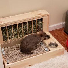 a rabbit is eating out of its food dish in a wooden crate on the floor