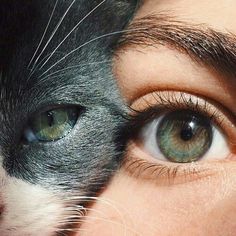 a woman's eye with a cat behind her