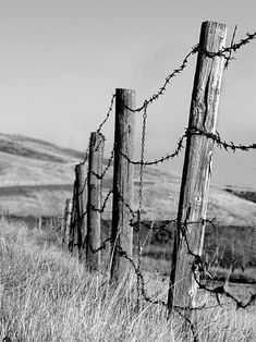 a black and white photo of a barbed wire fence on the side of a hill