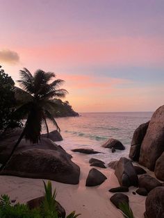 the beach is lined with large rocks and palm trees at sunset or sunrise, as seen from above