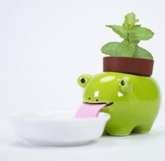 a green frog with a potted plant sticking out of it's mouth next to a white bowl