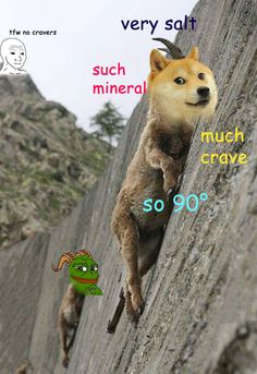 a dog climbing up the side of a mountain with another dog on it's back