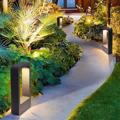 a garden with plants and lights on the side of it in front of a house