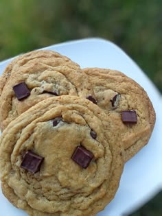 three chocolate chip cookies sitting on top of a white plate with grass in the background