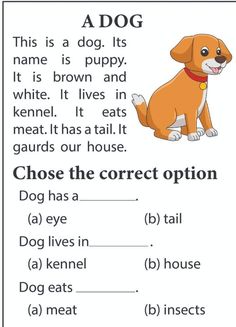 A dog . Read  and choose the correct answer . easy reading worksheet Easy Comprehension Worksheets, Reading Comprehension Worksheets Grade 1, Dog Reading, First Grade Reading Comprehension, Kindergarten Reading Activities, English Learning Books