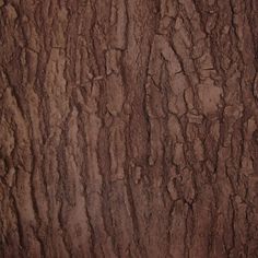 Artificial Maple or Oak Fake Tree Bark Dark Brown Silk Plants Canada Rough Wood Texture, Oak Tree Bark, Types Of Trees, Fiberglass Mold, Roof Coating, Fake Trees, Rough Wood, Faux Tree, Silk Plants