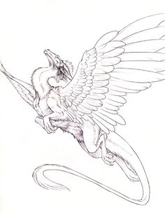 a drawing of a bird with wings flying over the top of it's head