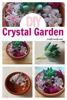 the instructions for how to make a diy crystal garden in a clay pot with succulents