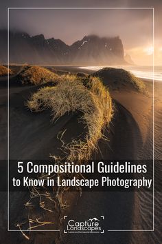 the beach with grass growing out of it and mountains in the background text reads 5 compositional guidelines to know in landscape photography