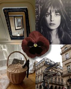 a collage of photos including a woman's face, street signs and a flower