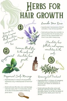 Unlock the secrets to luscious locks with these herbs for hair growth! 🌿✨  Discover natural ways to nourish your scalp and promote healthy hair. Whether you’re looking to stimulate hair follicles, improve circulation, or strengthen your strands, these DIY treatments are perfect for boosting hair growth. Try these easy, at-home remedies and enjoy beautiful, vibrant hair! 💁‍♀️🍃 #HairGrowth #HerbalRemedies #NaturalHairCare #DIYBeauty #HealthyHair #HairTips #HerbalHairCare Hair Growth Spells, Best Herbs For Hair Growth, Hair Strengthening And Growth, Hair Growth Spell, Herbs To Heal, Hair Herbs, Healthy Hair Remedies, Herbal Hair Care