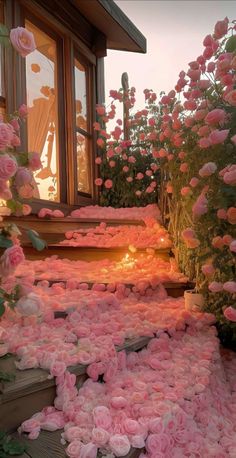 pink roses are blooming on the steps leading up to a house with an open door