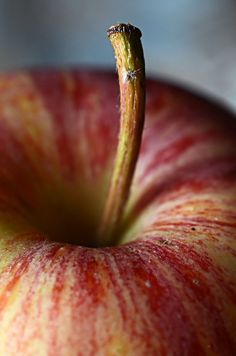 A stalk rises from an apple volcano.  What do you see? Wild Apple, Apple Pear, Photo Search, Fruit And Veg, Life Photography