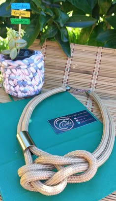 a close up of a rope on top of a book near a potted plant