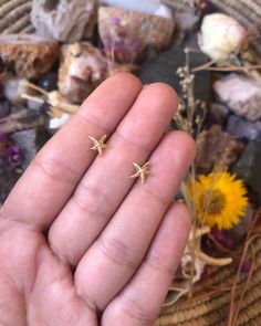 ☮️ Welcome to Summer Of Love Jewels ☮️ Listing is for (1) pair of Starfish Stud Earrings Measurements: Length: 8mm Width: 8mm Material: 18kt Gold Vermeil, .925 Sterling Silver Let me know if you have any questions. Oceancore Jewelry, Yellow Gold Starfish Earrings For Gift, Earrings Stud, Earring Studs, Summer Earrings, Pretty Earrings Studs, Sea Inspired Earrings, Beachy Earrings, Nail Jewels