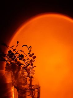 two vases with plants in them sitting on a table next to an orange light