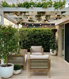 an outdoor patio area with potted plants and seating on the wooden flooring, surrounded by greenery