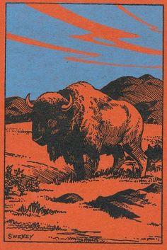 an orange and blue book cover with a buffalo in the foreground, mountains in the background