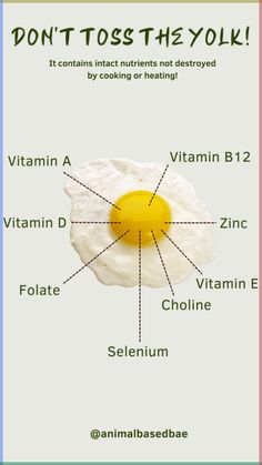 Unlock the nutritional powerhouse within egg yolks Eye Function, Golden Treasure, Womens Health Care, Workout For Flat Stomach, Egg Yolks, Essential Nutrients, Flat Stomach, What Happened To You, Kids Nutrition