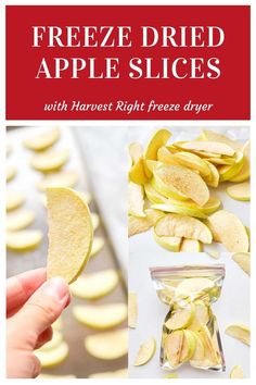 freeze dried apple slices with harvest right freeze dryer and then cut them in half