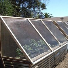 a row of greenhouses with plants growing in the top one and bottom two are lined up