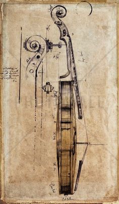 an old drawing of a violin with its case and strings still in it's holder