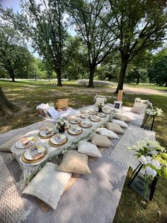 a long table with plates and pillows on it in the middle of a grassy area