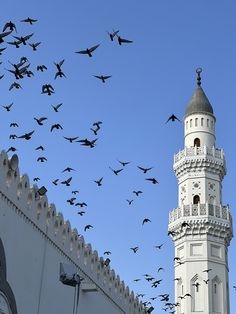 a flock of birds flying in the air over a white building with a clock tower