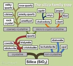 the silica family tree is shown with words in different languages and pictures on it