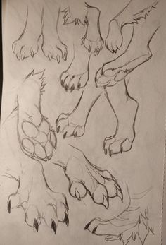 a drawing of several different paws and claws