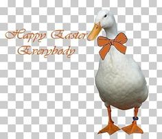 a white duck with an orange bow on its head and the words happy easter everybody