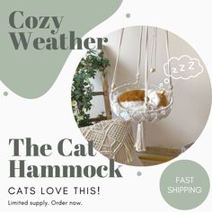 an advertisement for the cat hammock store