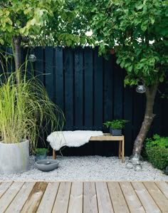 a wooden bench sitting under a tree next to a lush green plant filled garden area