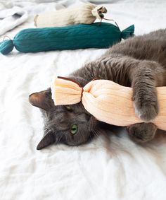 a gray cat laying on top of a bed next to pillows