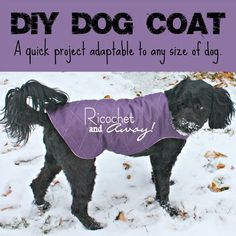 a black dog wearing a purple coat in the snow