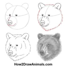 three different types of animals with their faces drawn