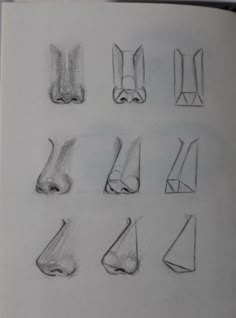 a book with different types of feet drawn on it