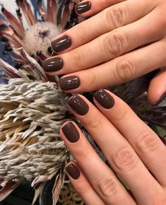 Classy Fall Nails Short, Oval Short Nails, Nail Dipping Powder Colors, Nail Coat, No Chip Nails, Glow Nails, Aesthetic Nails, Nail Envy, Brown Nails