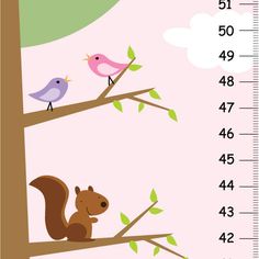 a growth chart showing the height of a squirrel and bird on a tree branch with birds perched on it