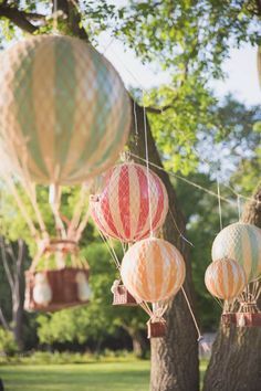 several hot air balloons are hanging from trees