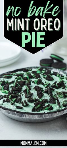 mint oreo pie Oreo Pie Recipe, Mint Desserts, Oreo Pie, Green Desserts, Mint Oreo, Easy Pie Recipes, Mint Recipes, Oreo Recipes, Oreo Crust