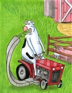 a cow riding on the back of a red lawn mower