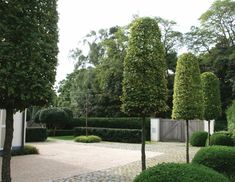 an outdoor courtyard with trees and hedges