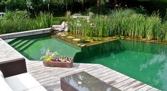 an outdoor pool with wooden decking and green water