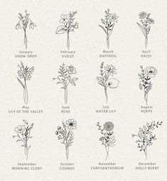 the different types of flowers are shown in black and white