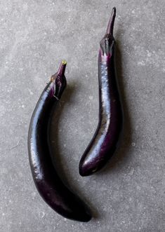 two eggplant halves sitting side by side on the ground