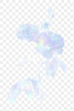 blue flowers on a white background png